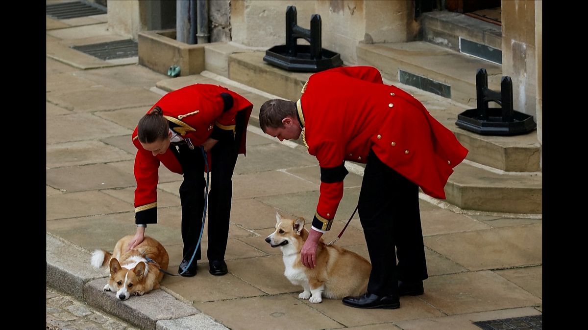 Dojemné loučení ve Windsoru: Poslední sbohem královně dali i její psi a poník